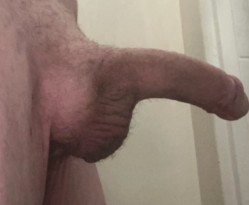  Geile vent zoekt geile vrouw met lekkere kont 