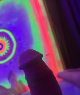  Wie nu zin? M/V t/m 50 