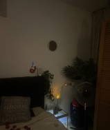  Sensation room Brabant  