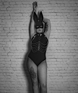  2 BLACKBULLS gezocht voor 22/9 